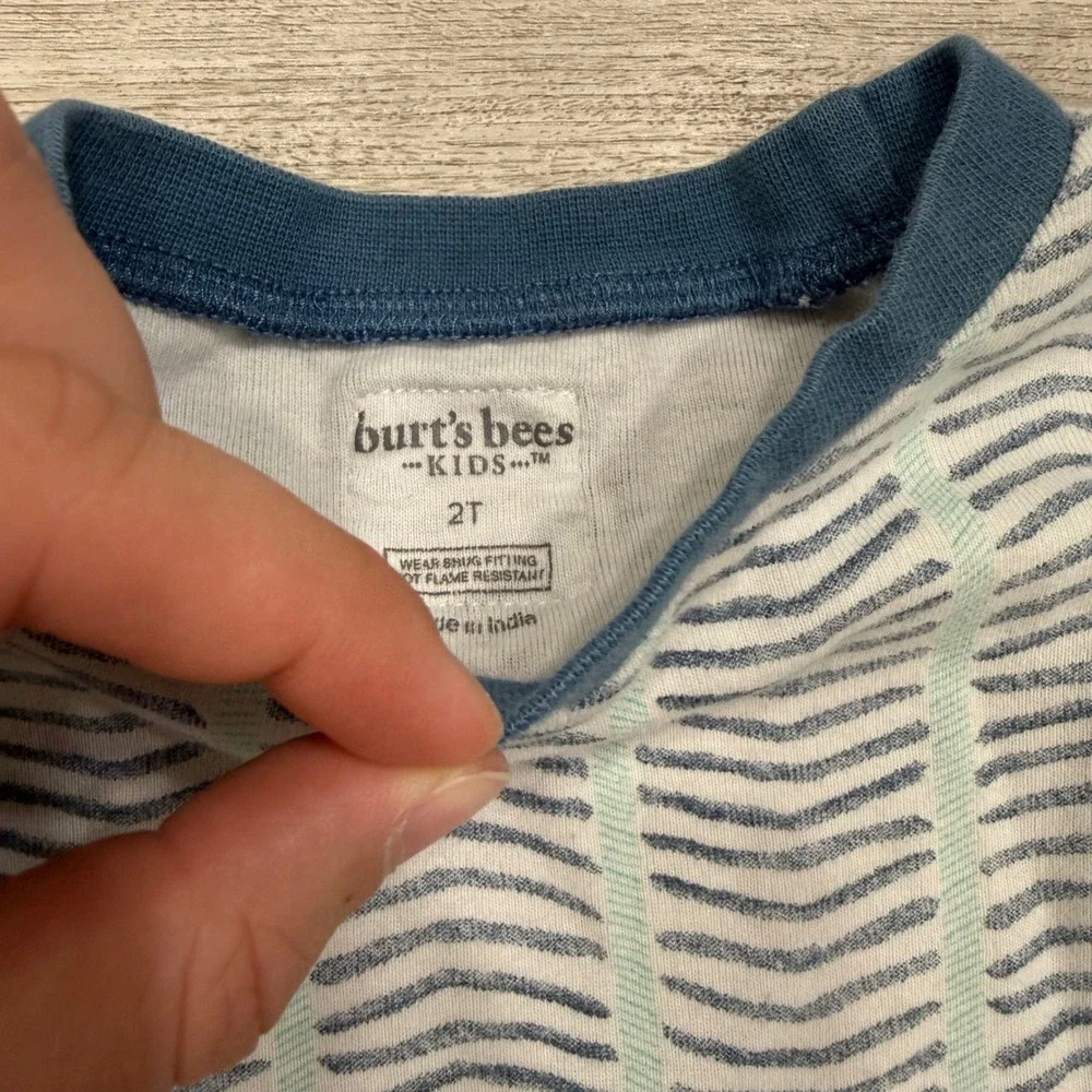 Burt's Bees Kids 2T Pajama Tops Set 2 Dinosaur Chevron Organic Cotton Blue Green
